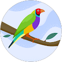 Barton Avatar